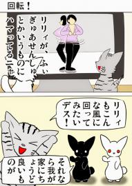 ミーのおもちゃ箱１７５話
