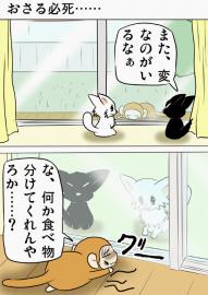 ミーのおもちゃ箱１７９話