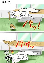 ミーのおもちゃ箱１８９話