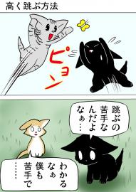 ミーのおもちゃ箱１９１話