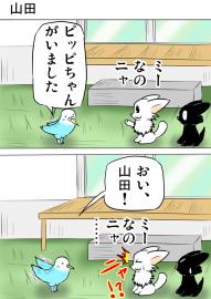 ミーのおもちゃ箱１９５話