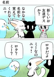 ミーのおもちゃ箱１９６話