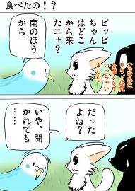 ミーのおもちゃ箱１９７話
