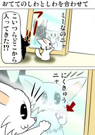 ミーのおもちゃ箱２０３話