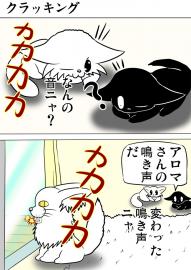 ミーのおもちゃ箱２１４話