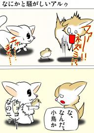 ミーのおもちゃ箱２１９話