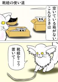 ミーのおもちゃ箱２２２話
