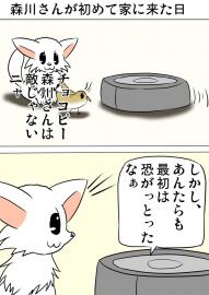 ミーのおもちゃ箱２３４話