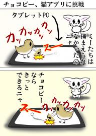 ミーのおもちゃ箱２４６話