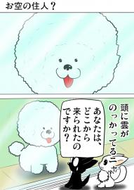 ミーのおもちゃ箱２４７話
