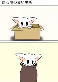 ミーのおもちゃ箱２５１話