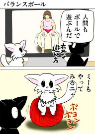 ミーのおもちゃ箱２５２話