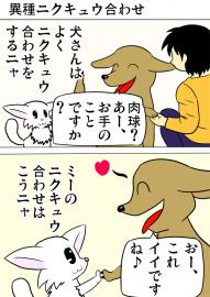 ミーのおもちゃ箱２５５話