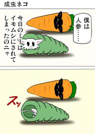 ミーのおもちゃ箱２５９話