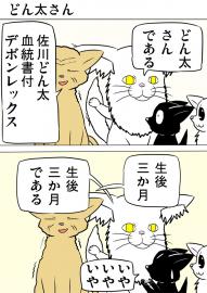 ミーのおもちゃ箱２６９話