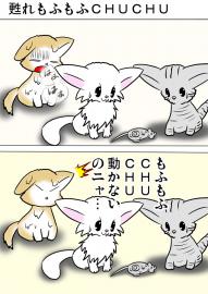 ミーのおもちゃ箱２８０話