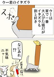 ミーのおもちゃ箱２９８話