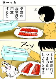 ミーのおもちゃ箱３０６話