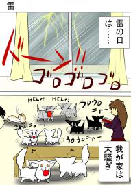 ミーのおもちゃ箱３２６話
