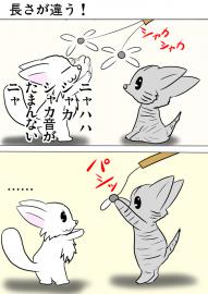 ミーのおもちゃ箱３２７話
