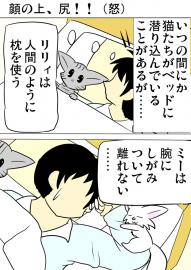 ミーのおもちゃ箱３４３話