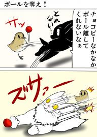 ミーのおもちゃ箱３４５話