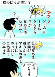 ミーのおもちゃ箱３４９話