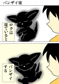 ミーのおもちゃ箱３５５話
