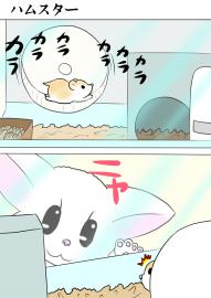 ミーのおもちゃ箱３７３話