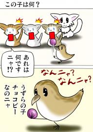 ミーのおもちゃ箱４０３話