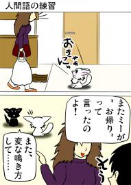 ミーのおもちゃ箱４２５話