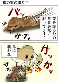 ミーのおもちゃ箱４２６話