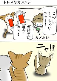 ミーのおもちゃ箱４２７話