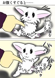 ミーのおもちゃ箱４２８話