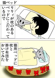 ミーのおもちゃ箱４６７話