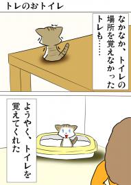 ミーのおもちゃ箱４６８話