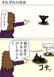 ミーのおもちゃ箱４７３話