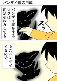 ミーのおもちゃ箱４７７話