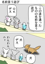 ミーのおもちゃ箱４８５話