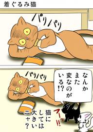 ミーのおもちゃ箱５０６話