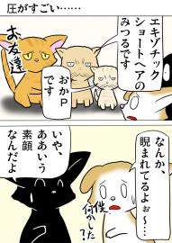 ミーのおもちゃ箱525話～第530話