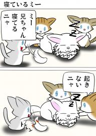 ミーのおもちゃ箱649話～第654話