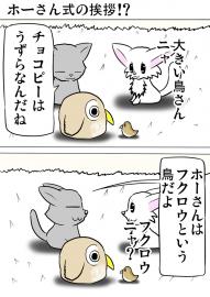 ミーのおもちゃ箱679話～第684話