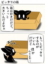 ミーのおもちゃ箱751話～第756話
