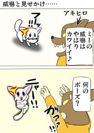 ミーのおもちゃ箱915話～第920話