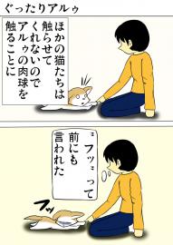 ミーのおもちゃ箱927話～第932話