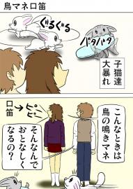 ミーのおもちゃ箱 第999話～第1004話