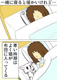 ミーのおもちゃ箱 第1240話～第1245話