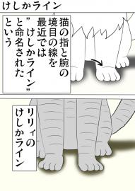 ミーのおもちゃ箱 第1288話～第1293話