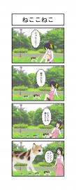 ねここねこ